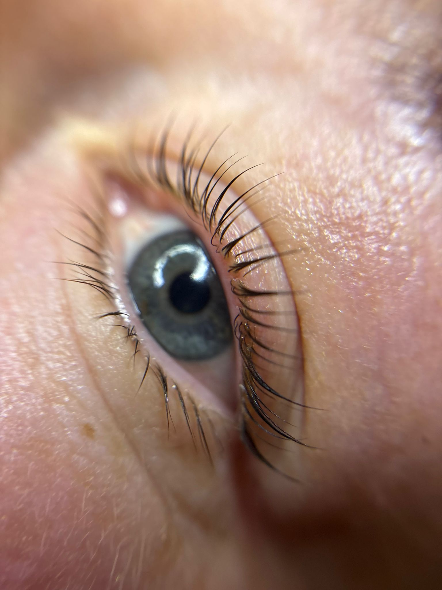 Korean Lashlift
